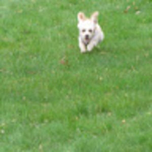 Meet your Posher, Zana